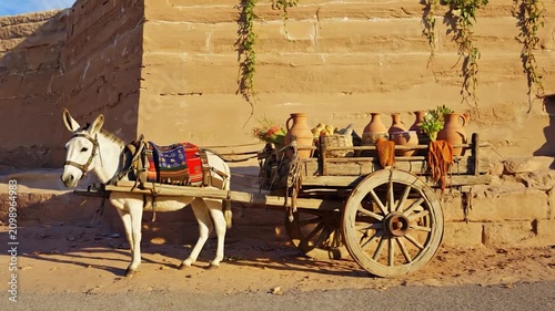 A white donkey pulls a wooden cart loaded with goods on a dirt road against a rustic wall