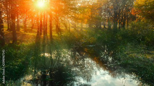 Autumn forest nature landscape, golden hour in the forest with sun rays breaking through branches of trees with orange foliage, serene pond on the foreground, natural October background