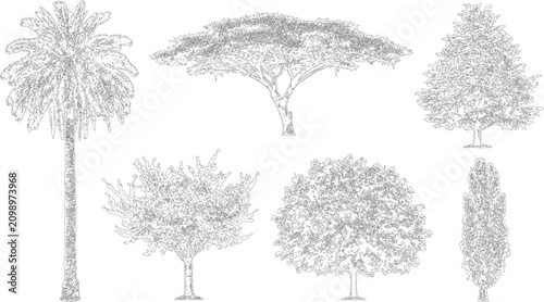 Foto Diverse tree species line art for architectural elevation plan view