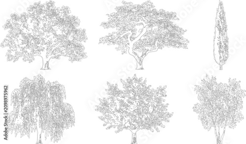 Tableau sur toile Set of diverse deciduous and evergreen tree elevation line drawings