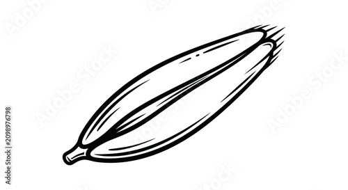 Vanilla Bean Outline Vector Illustration