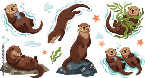 Cute sea otter vector illustration set showing marine animals swimming diving holding hands lying on rocks and tangled in kelp for ocean wildlife designs