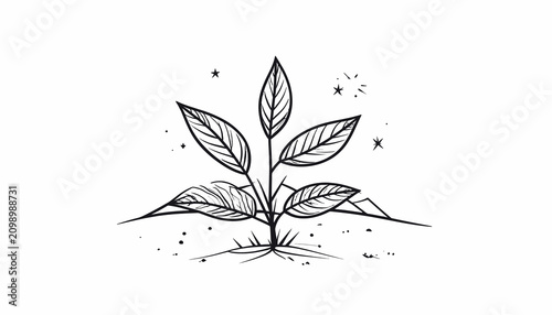 Fotografie Small plant with several leaves growing.
