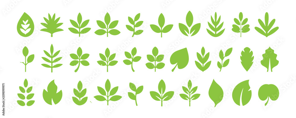 Fototapeta premium Lime green leaf icons collection in minimalist flat style isolated on transparent background set.