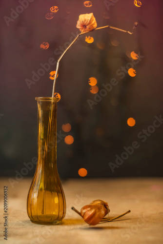Macro close-up of wabi sabi dried physalis in a glass vase with artistic soft focus