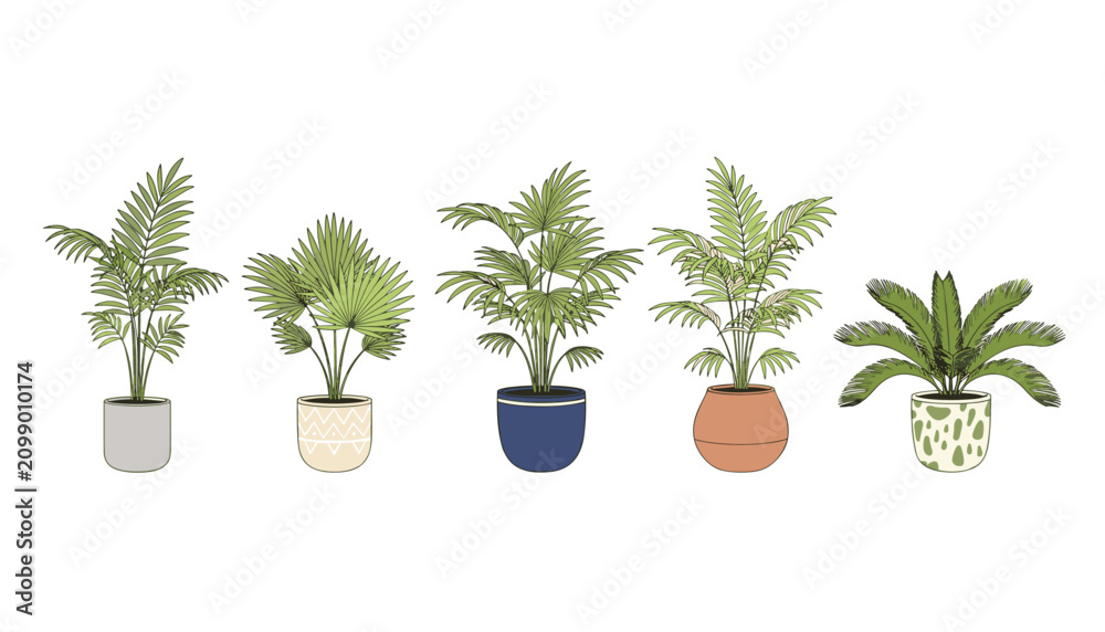 Fototapeta premium Collection of five tropical indoor plants displayed in distinct decorative pots of varying styles.