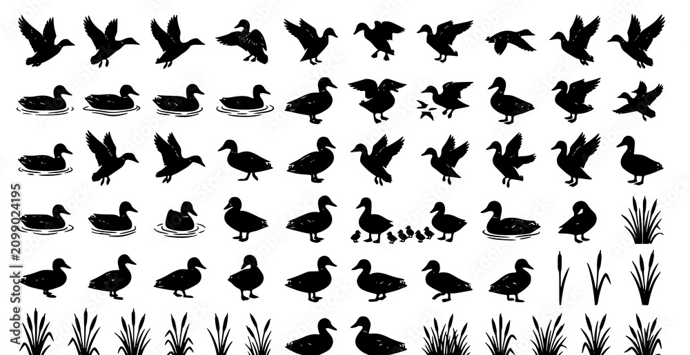 Fototapeta premium Black Duck Silhouette Vector Collection with Cattails and Wetland Reeds