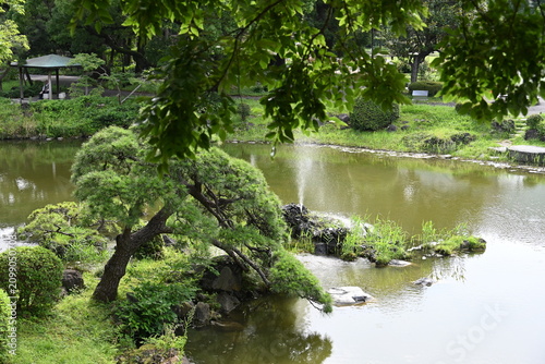 日比谷公園の心字池に広がる噴水と緑の静かな庭園風景  
Serene garden scene with a fountain and lush greenery at Hibiya Park’s Shinji Pond
