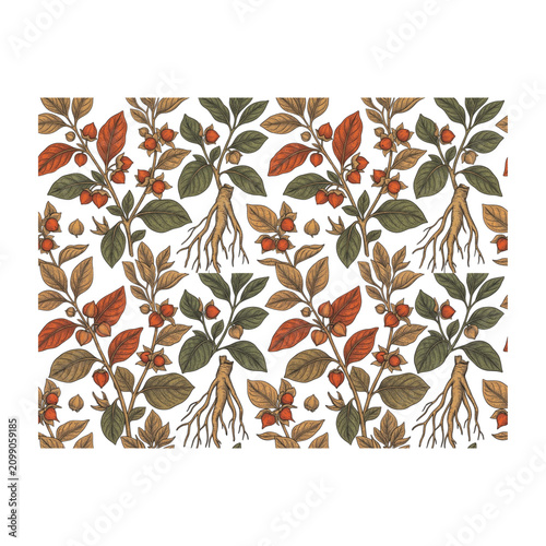 Fotografía Ashwagandha botanical pattern seamless repeating withania somnifera winter cherr