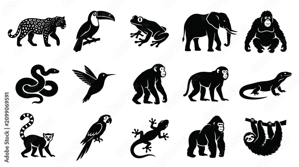 Fototapeta premium Black White Glyph Icons of Tropical Animals, Nature Wildlife Vector Set