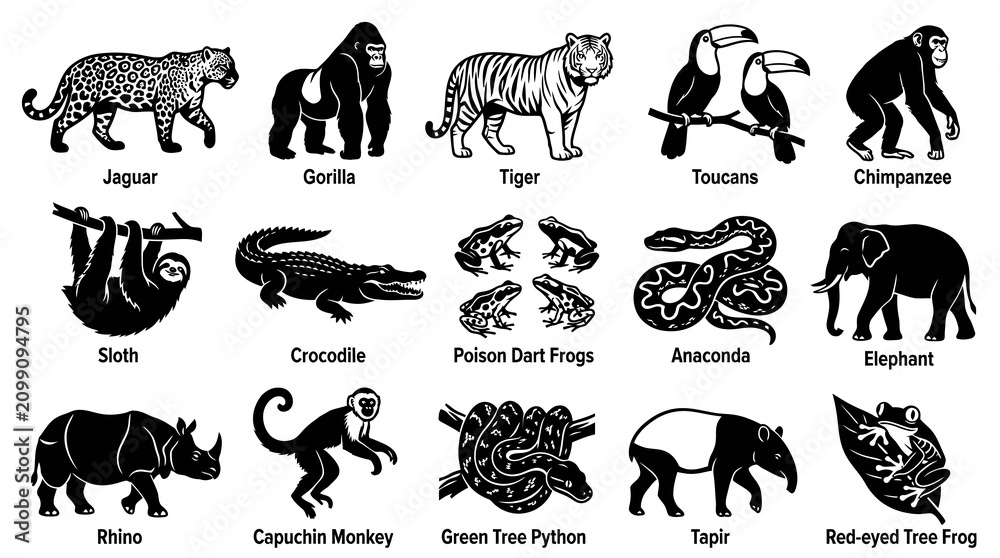 Fototapeta premium Monochrome Jungle Wildlife Icons Set: Tropical Animals Vector Silhouettes Collection