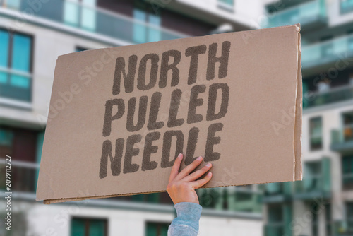 Tableau sur toile "North Pulled Needle" Magnetic force guided it