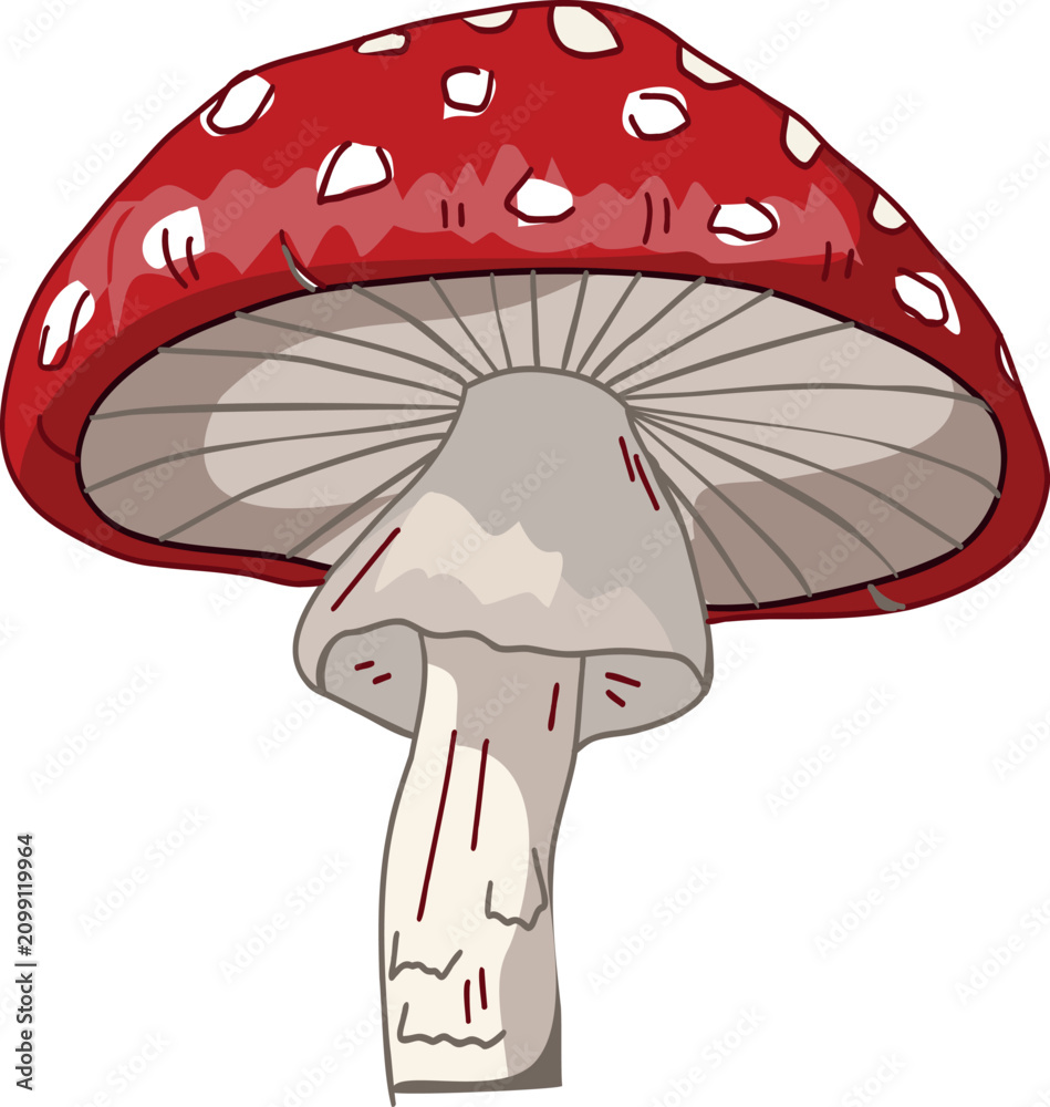 Εκτύπωση καμβά A detailed view of a fly agaric cap showing the gills underneath.