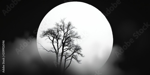 Silhouette of a leafless tree standing before a large bright orb in a misty atmosphere.