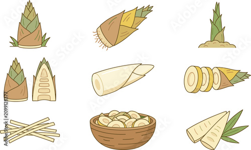 Foto Fresh Bamboo Shoot Vector Illustration Set Featuring Whole Cut Sliced Half Strip