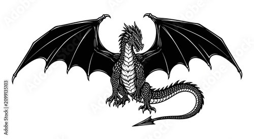 Obraz na płótnie Detailed Dragon Vector Illustration