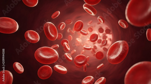 Fotografie Red blood cells flowing through a human artery