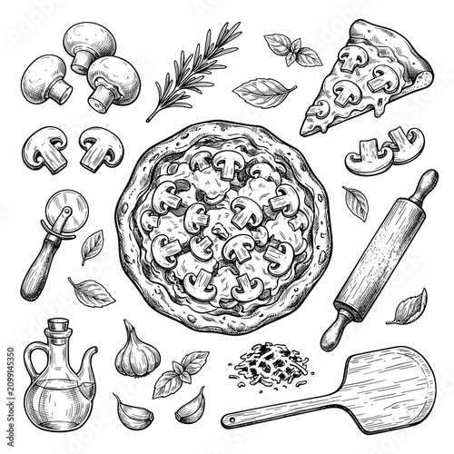 Mushroom pizza sketch with whole pie and slice, isolated kitchen tool and herb ingredient set on white background