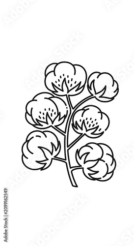 Stylized Cotton Plant Illustration for Design Projects.
