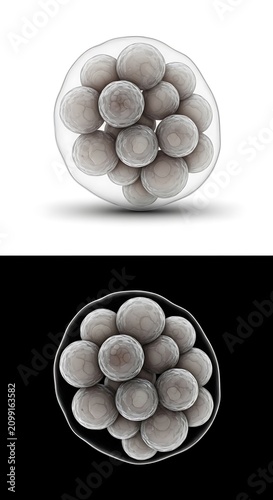 Cluster of Gray Spheres in Transparent Sphere Artistic Composition.