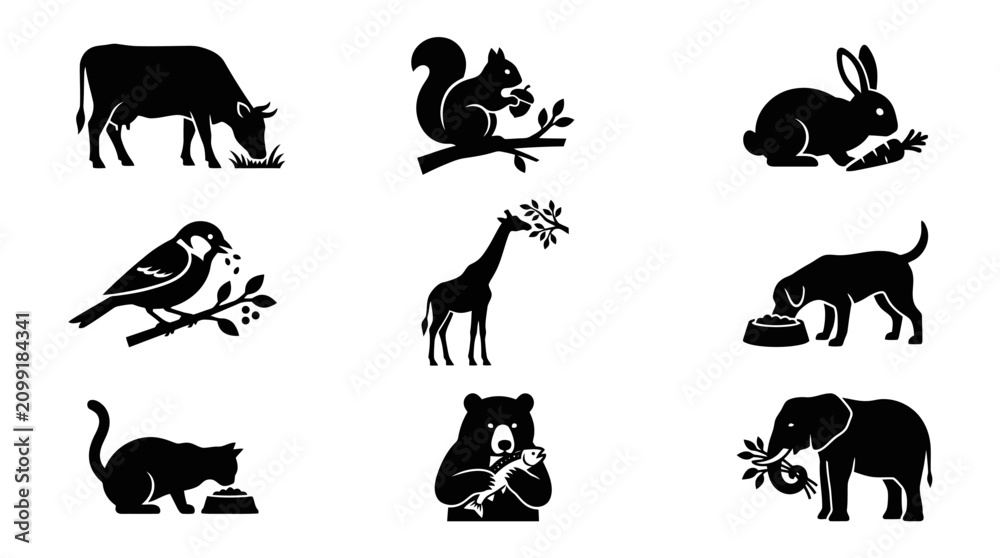Fototapeta premium Black silhouettes of various wild animals.