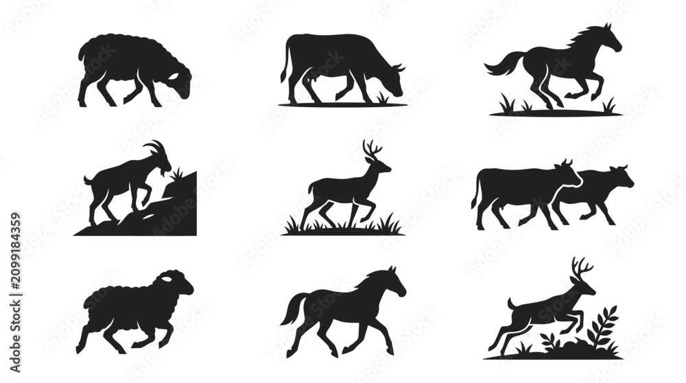 Obraz premium Black silhouettes of various wild animals.