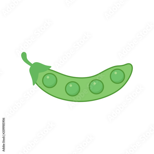 Flat vector illustration of a green pea pod with seeds. Open green pea pod with several peas.fresh green pea pod illustration. botanical design concept for food ingredients healthy eating design