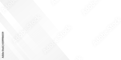 Fotografija Abstract light gray lines polygon modern tech minimal concept with white backgro