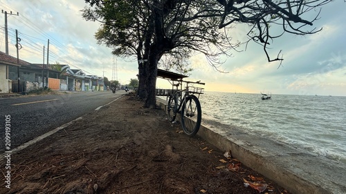 Tableau sur toile Quiet coastal road with bicycle beneath a large tree overlooking the sea on a pe