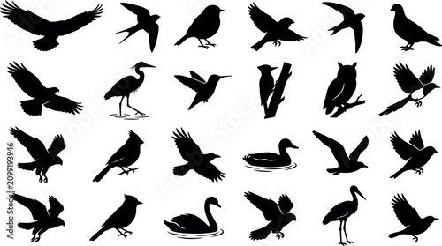Tableau sur toile Flying and Perching Bird Silhouette Icon Set with Eagle Owl Swan Hummingbird and