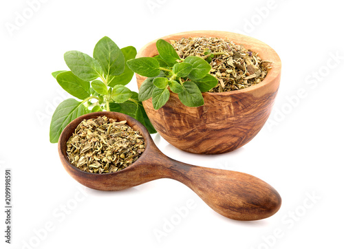 Oregano or marjoram leaves isolated on white background. Oregano fresh and dry  in closeup.