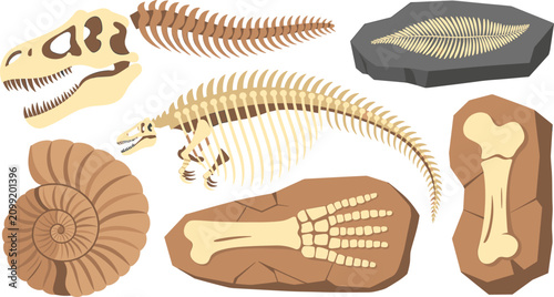 Fotografía Prehistoric dinosaur fossil skeleton vector set featuring Tyrannosaurus rex skull, spine, ammonite shell, ancient fish imprint, hand, and thigh bone elements isolated on white