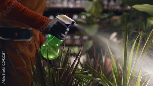 Person in orange sweater waters indoor green plants carefully