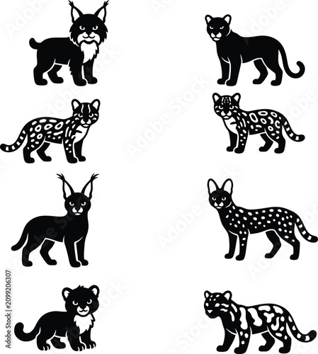 Photography A assortment of stylized black and white vector icons featuring various wild cat species
