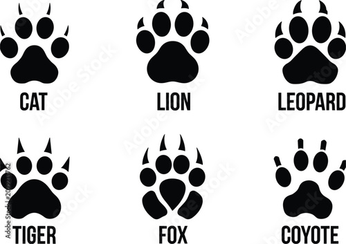 Canvas Print Black and white of six different wild cats: cat, lion, leopard, tiger, fox, coyo