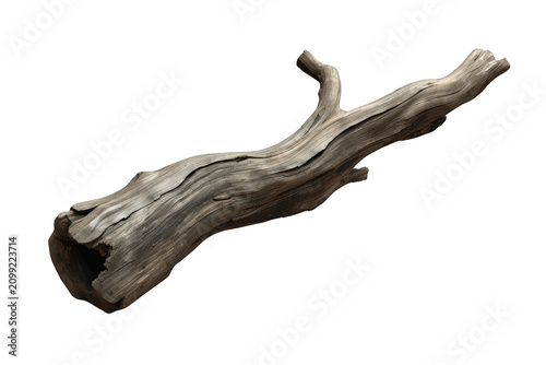 Weathered deadwood branch with rough texture and natural decay against a transparent background