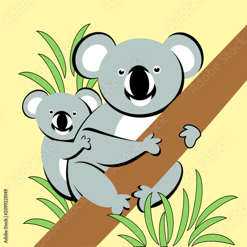 Koala with baby on back sitting on tree branch