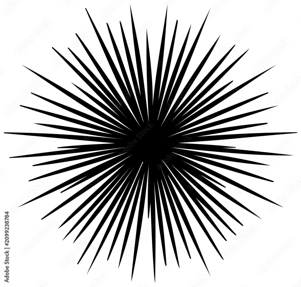 Obraz premium Solid black radial explosion shape with thick lines with lines white background illustration abstract graphic element pattern texture design