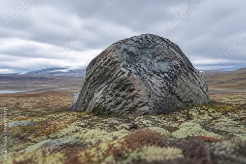 A massive glacial erratic rock embedded in a tundra landscape with lichen.