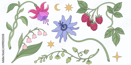 Bild auf Leinwand Whimsical Botanical Set Featuring Fuchsia Lily of the Valley Passion Flower and