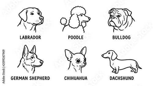 Set of six different dog breed head icons in a simple black line art style