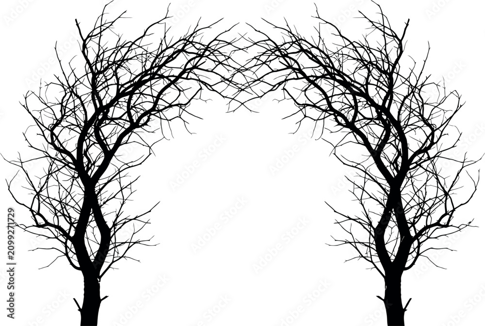 Fototapeta premium Pair of bare tree silhouettes forming a decorative arch design element on a clean background