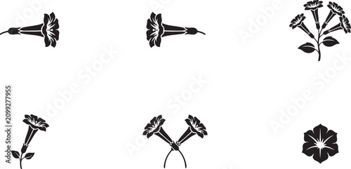 Photography angel trumpet silhouette vector icon. square type Bundle