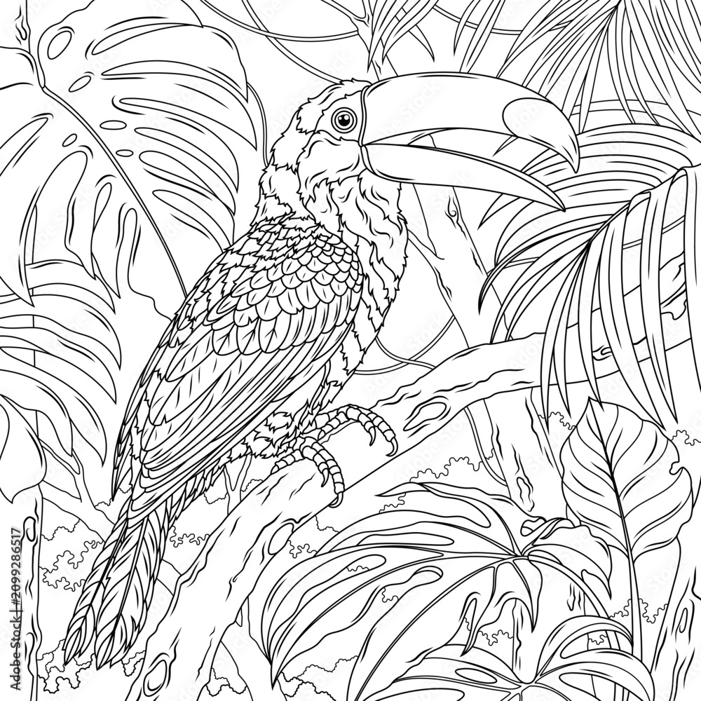 Obraz premium Toucan outline drawing.Coloring book antistress for children and adults.