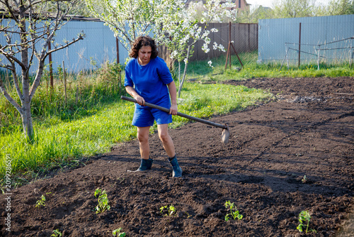 Принти на полотні Woman tends garden soil with hoe in spring