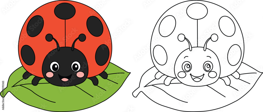 Fototapeta premium Cute cartoon ladybug sitting on a green leaf. Colored and black-and-white line art vector illustration for children's coloring books.