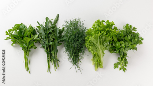 Принти на полотні Assorted Fresh Leafy Greens: Arugula, Dill, Parsley, Lettuce, Cilantro on White