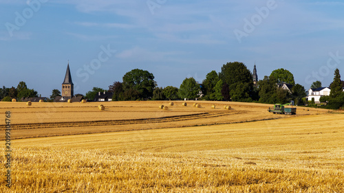 Bild auf Leinwand view of the catholic and protestant churches in Ratingen Homberg, with grain fie