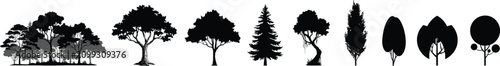Photos Diverse Tree Silhouettes Collection Various Species and Styles vector untitled