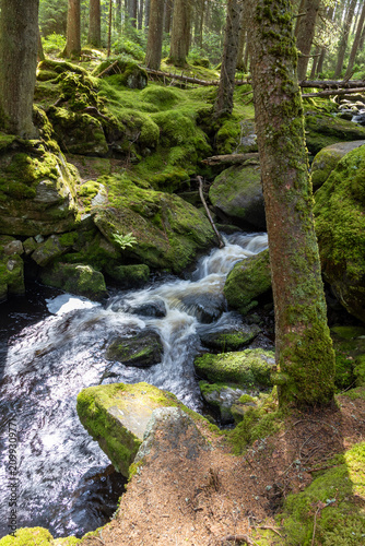 rapids on Filipova huť creek, Sumava, Czech republic